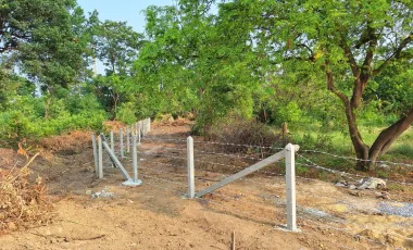 Land for sale in Thap Luang, Nakhon Pathom