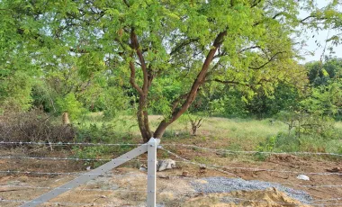 Land for sale in Thap Luang, Nakhon Pathom