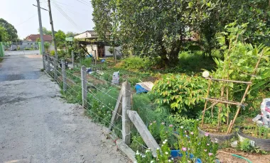 Land for sale in Thap Luang, Nakhon Pathom