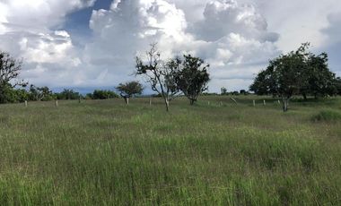 Lote Renta Morelia Pereira