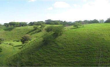 Lote Renta Morelia Pereira