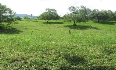 Lote Renta Morelia Pereira