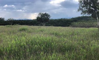 Lote Renta Morelia Pereira