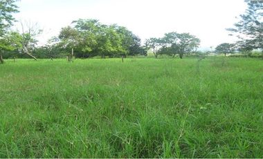 Lote Renta Morelia Pereira