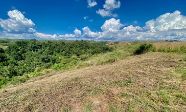 Lote Venta Cerritos Pereira