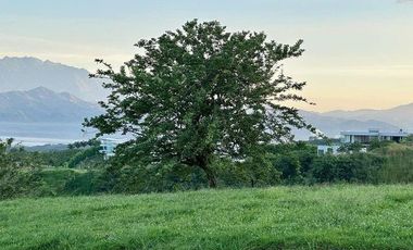 Lote Venta Cerritos Pereira