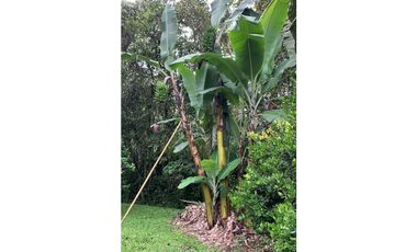CASA CAMPESTRE EN VENTA , SAN FRANCISCO CUNDINAMARCA