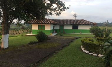 Finca Venta Arabia Pereira