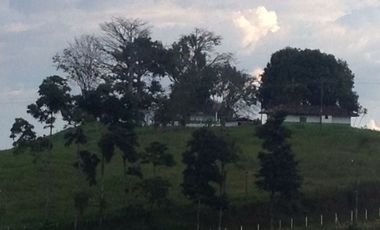 Finca Venta Arabia Pereira
