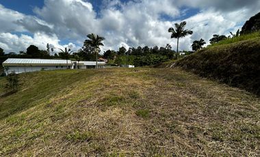 Lote Venta Condina Pereira