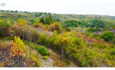 Venta de finca La Ermita San Carlos