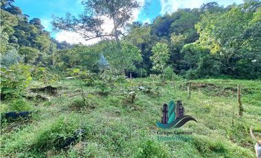 VENDO CABAÑA A 1700 M.S.N.M. BAJO MONO