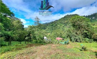 VENDO CABAÑA A 1700 M.S.N.M. BAJO MONO