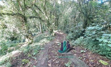VENDO CABAÑA A 1700 M.S.N.M. BAJO MONO