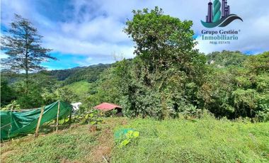VENDO CABAÑA A 1700 M.S.N.M. BAJO MONO