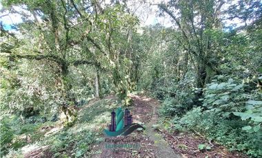 VENDO CABAÑA A 1700 M.S.N.M. BAJO MONO