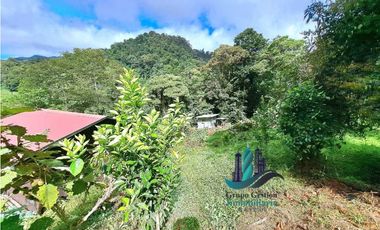 VENDO CABAÑA A 1700 M.S.N.M. BAJO MONO