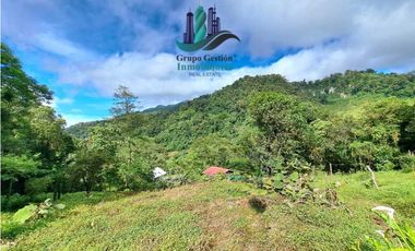 VENDO CABAÑA A 1700 M.S.N.M. BAJO MONO