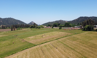 Parcela en Venta en Cercano a Lago Colbún