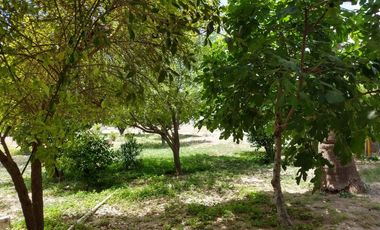 Quinta en Venta en Lerdo Durango