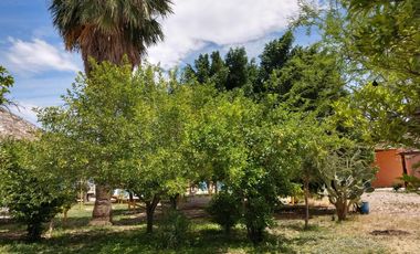 Quinta en Venta en Lerdo Durango