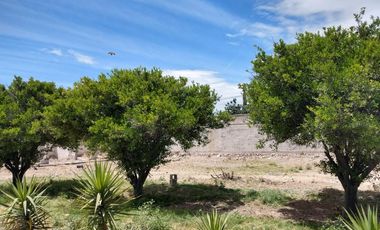 Quinta en Venta en Lerdo Durango