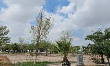 TERRENO EN VENTA EN FRACC. EL CAMPANARIO TORREÓN, COAHUILA
