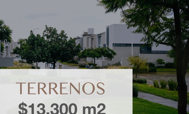 3 Terrenos en Venta en Paraje Casas de Autor, San Agustin (15% DESCUENTO + 5%)