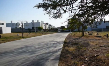 3 Terrenos en Venta en Paraje Casas de Autor, San Agustin (15% DESCUENTO + 5%)