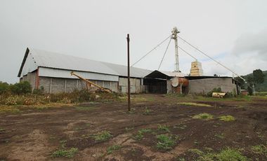 NAVE AGRÍCOLA EN VENTA EN LA ZONA DE ZACAPU, MICHOACÁN.