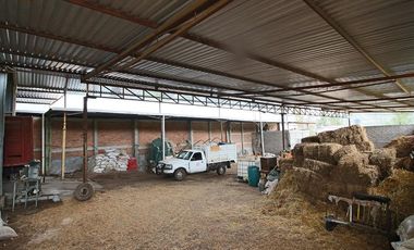 NAVE AGRÍCOLA EN VENTA EN LA ZONA DE ZACAPU, MICHOACÁN.