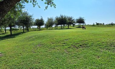 QUINTA EN MONTEMORELOS CON ALBERCA 11 HECTAREAS (SS HQV-029-57468)