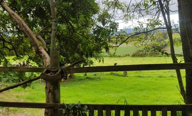 ARRIENDO CASA ZONAS VERDES COTA A.