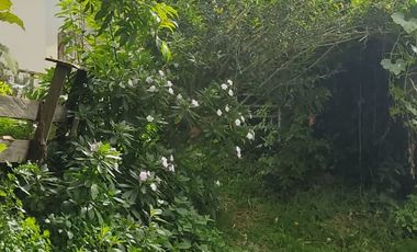 ARRIENDO CASA ZONAS VERDES COTA A.