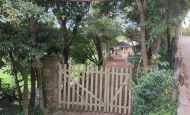 ARRIENDO CASA ZONAS VERDES COTA A.