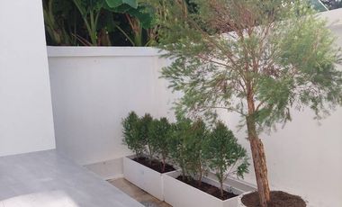 3 Bedroom House for sale in Tha Wang Tan, Chiang Mai