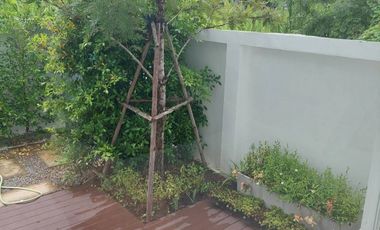 3 Bedroom House for sale in Tha Wang Tan, Chiang Mai