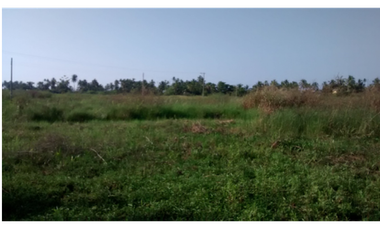 VENTA DE FINCA EN SAN BERNARDO DEL VIENTO