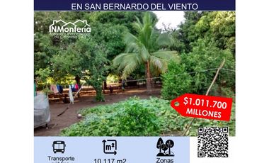 VENTA DE FINCA EN SAN BERNARDO DEL VIENTO