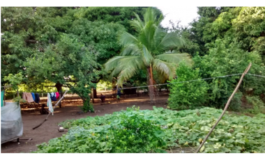 VENTA DE FINCA EN SAN BERNARDO DEL VIENTO