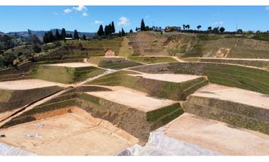 parcelacion Tarabita en sector hojas anchas