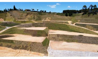 parcelacion Tarabita en sector hojas anchas