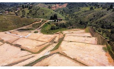 parcelacion Tarabita en sector hojas anchas