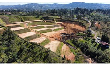 parcelacion Tarabita en sector hojas anchas