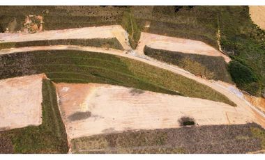 parcelacion Tarabita en sector hojas anchas