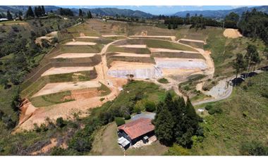 parcelacion Tarabita en sector hojas anchas