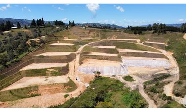 parcelacion Tarabita en sector hojas anchas