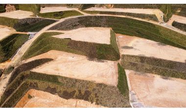 parcelacion Tarabita en sector hojas anchas