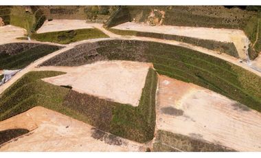 parcelacion Tarabita en sector hojas anchas