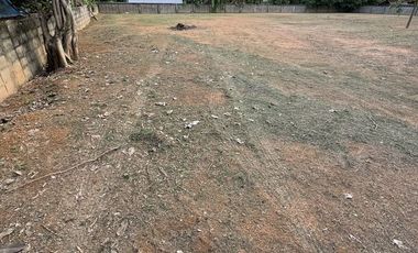 Land for sale in Rop Wiang, Chiang Rai